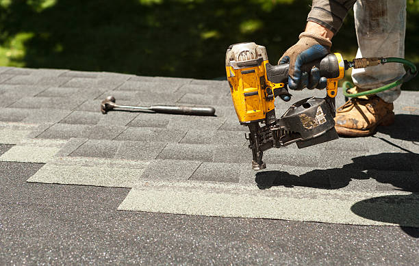 Best Roof Gutter Cleaning  in Carrollton, KY